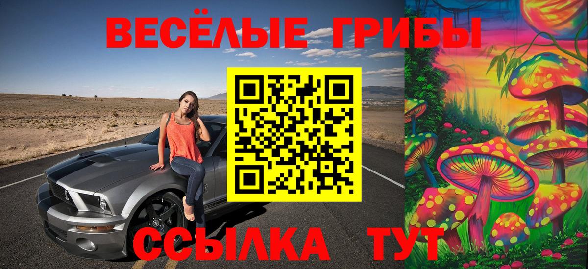 Галлюциногенные грибы Cubensis  Вход с VPN  Гусиноозёрск 